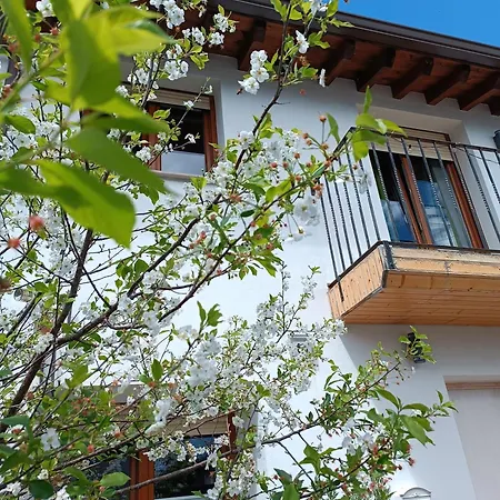 Holiday home Bellavista