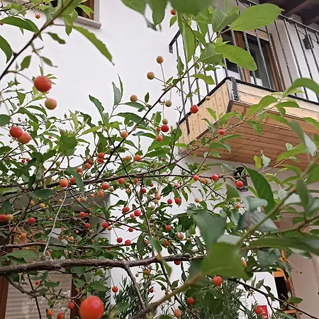 Bellavista *